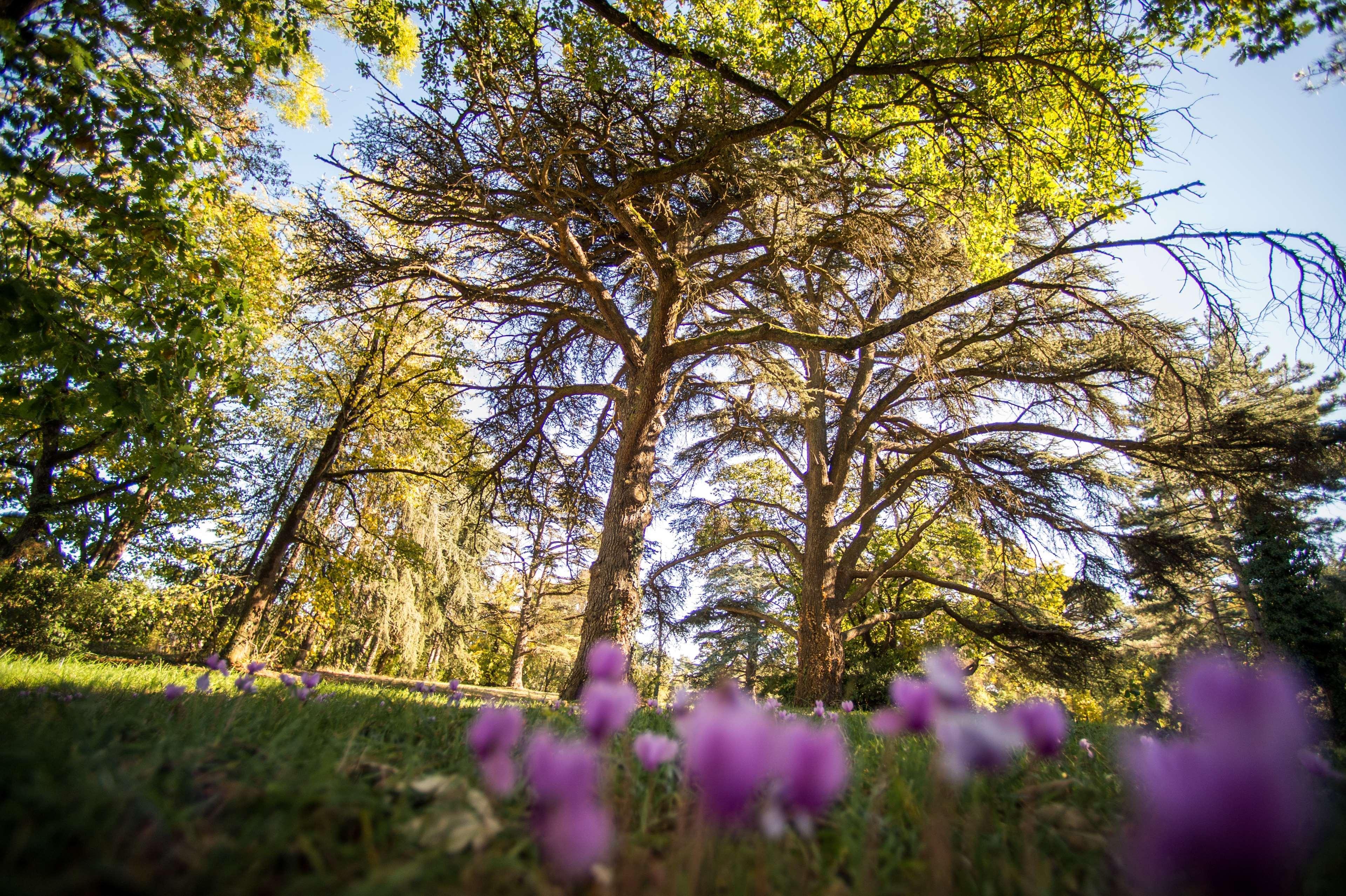 Best Western Premier Le Domaine De Montjoie Ramonville-Saint-Agne Kültér fotó
